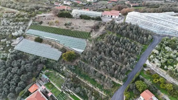 Immagine per Area verde in vendita a Bordighera via Gallina