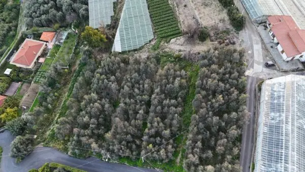 Area Verde via Gallina, Bordighera