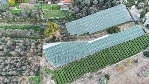 Immagine per Area verde in vendita a Bordighera via Gallina