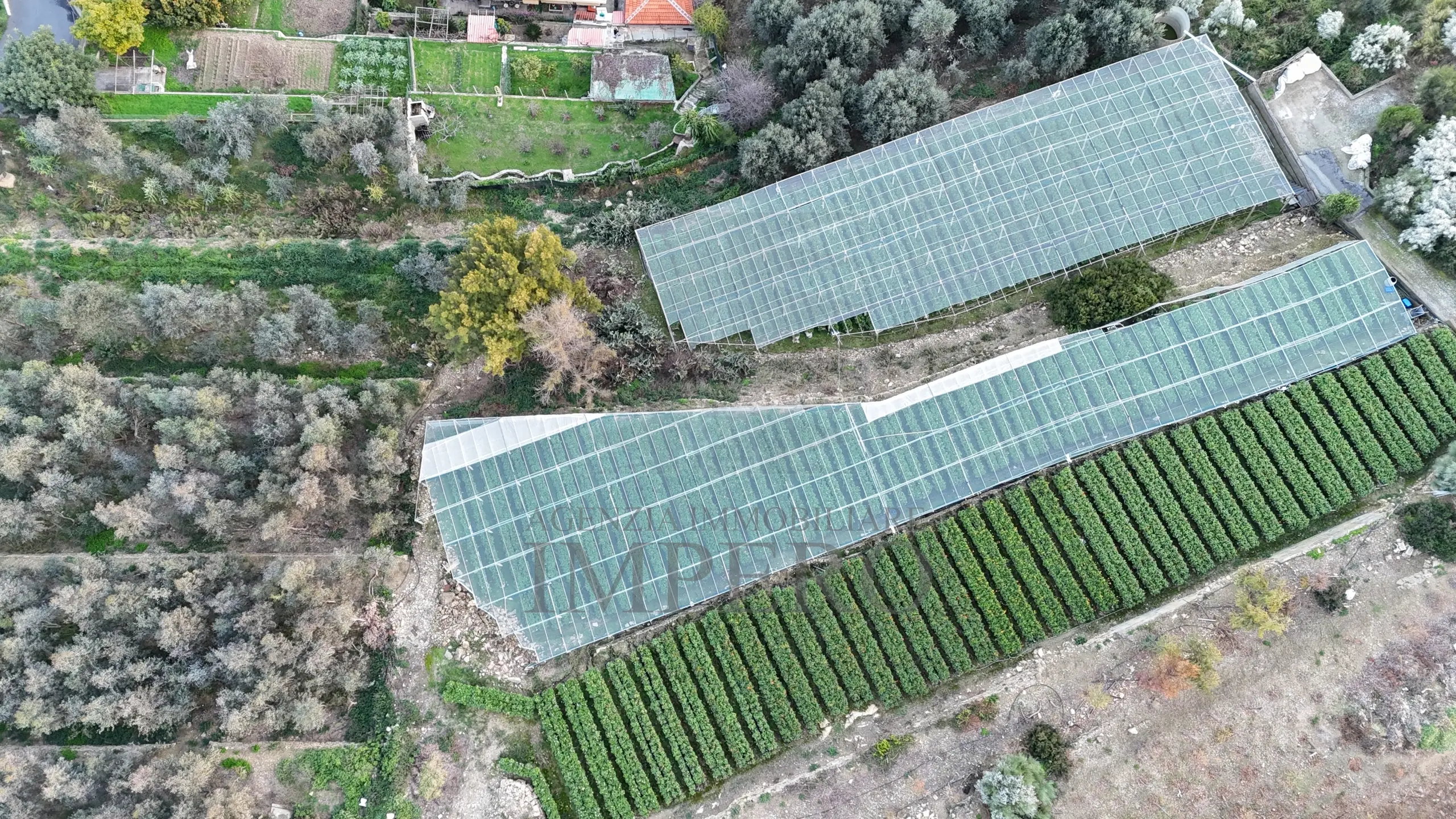 Immagine per Area verde in vendita a Bordighera via Gallina