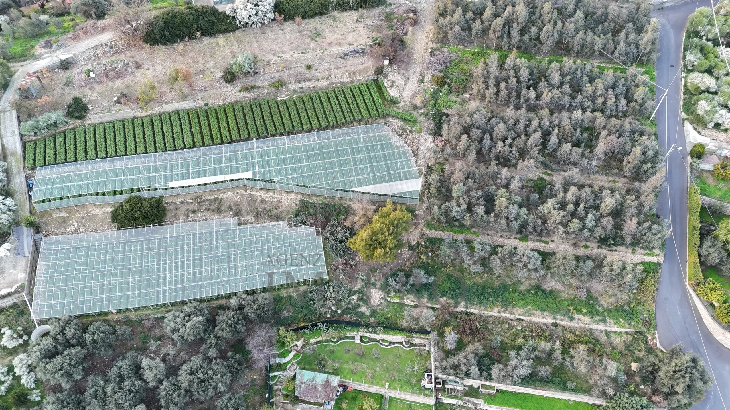 Immagine per Area verde in vendita a Bordighera via Gallina