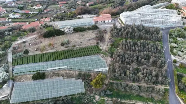 Immagine per Area verde in vendita a Bordighera via Gallina