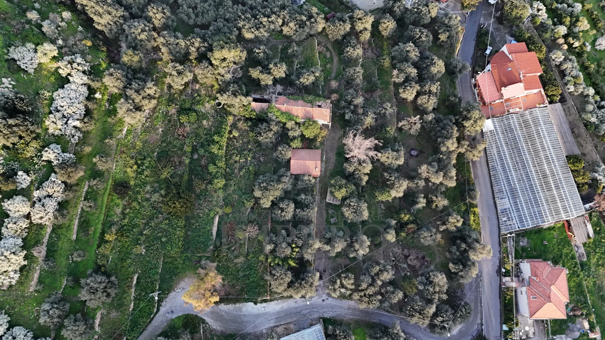 Immagine per Area verde in vendita a Bordighera via Gallina
