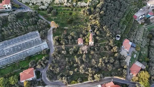 Immagine per Area verde in vendita a Bordighera via Gallina