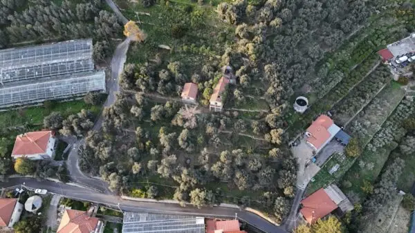 Immagine per Area verde in vendita a Bordighera via Gallina