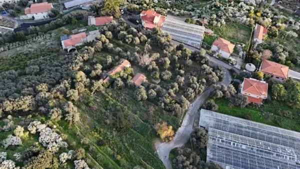Immagine per Area verde in vendita a Bordighera via Gallina