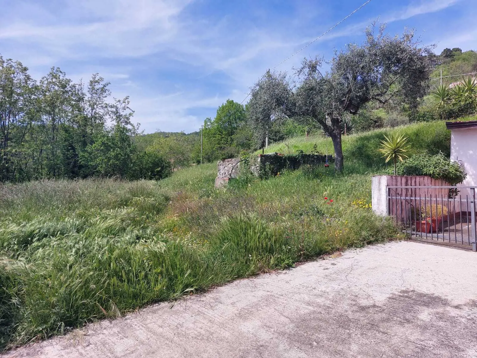 Immagine per Villa in vendita a Sarzana via Prulla 20