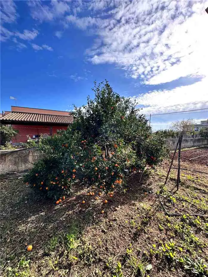 Immagine per Casa indipendente in vendita a Noto