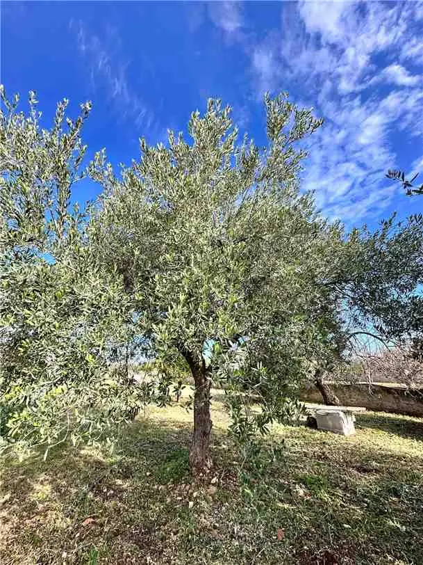 Immagine per Casa indipendente in vendita a Noto