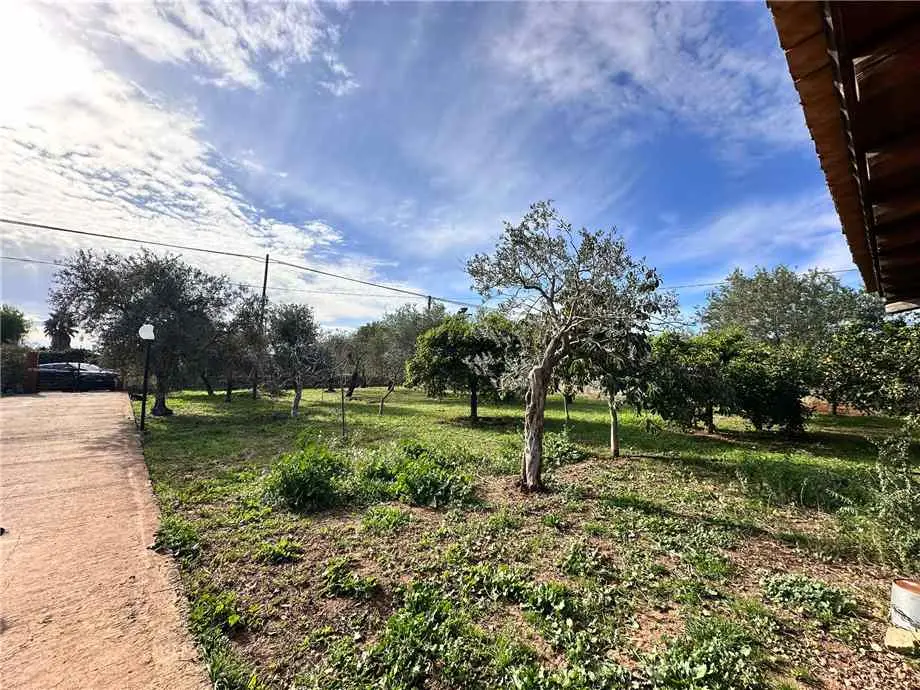 Immagine per Casa indipendente in vendita a Noto