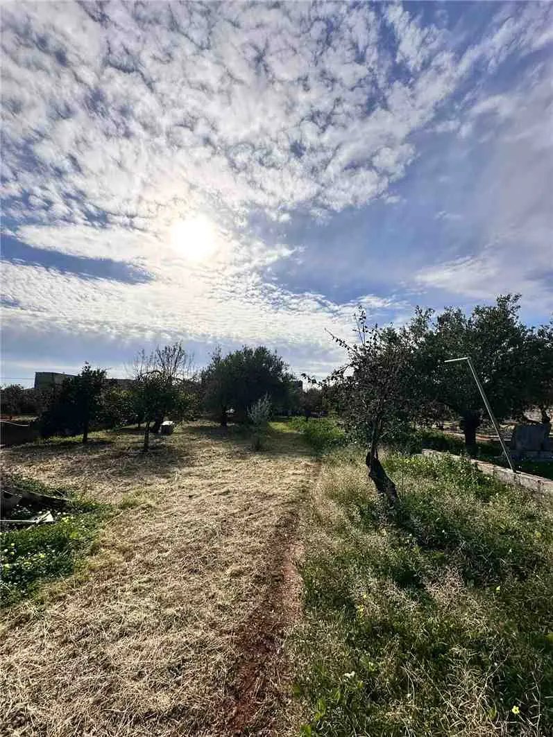 Immagine per Casa indipendente in vendita a Noto