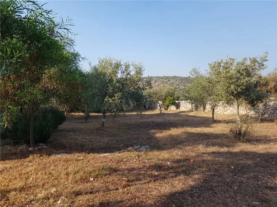 Immagine per Villa in vendita a Noto