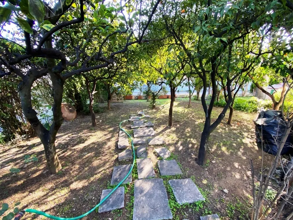 Immagine per Villa in vendita a Bari corso Alcide De Gasperi 376