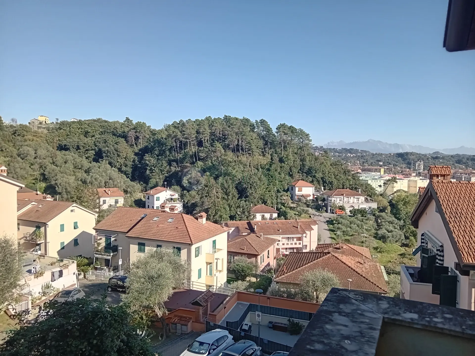 Immagine per Quadrilocale in vendita a La Spezia via Vailunga 37/I