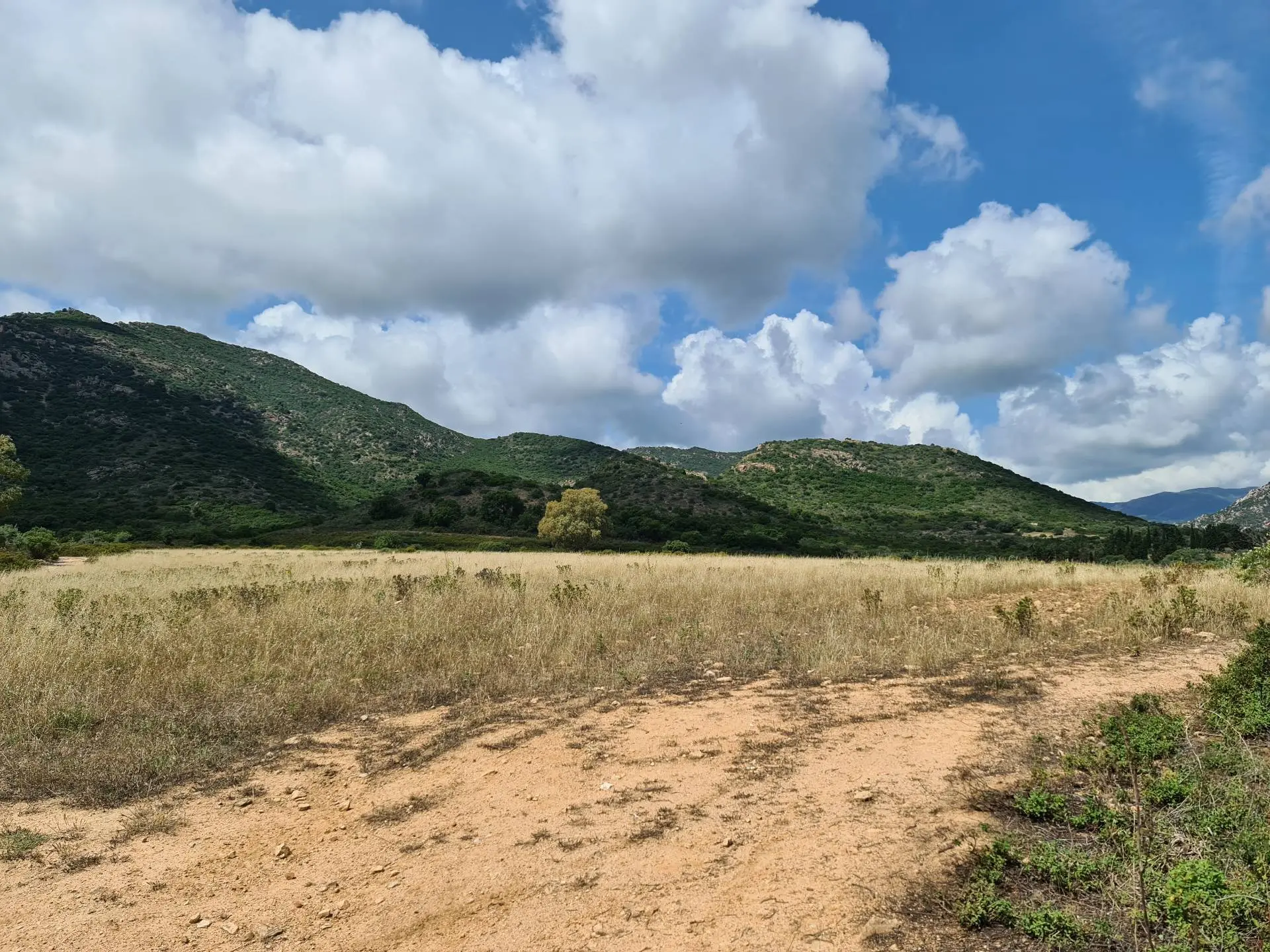 Immagine per Terreno Agricolo in vendita a San Vito