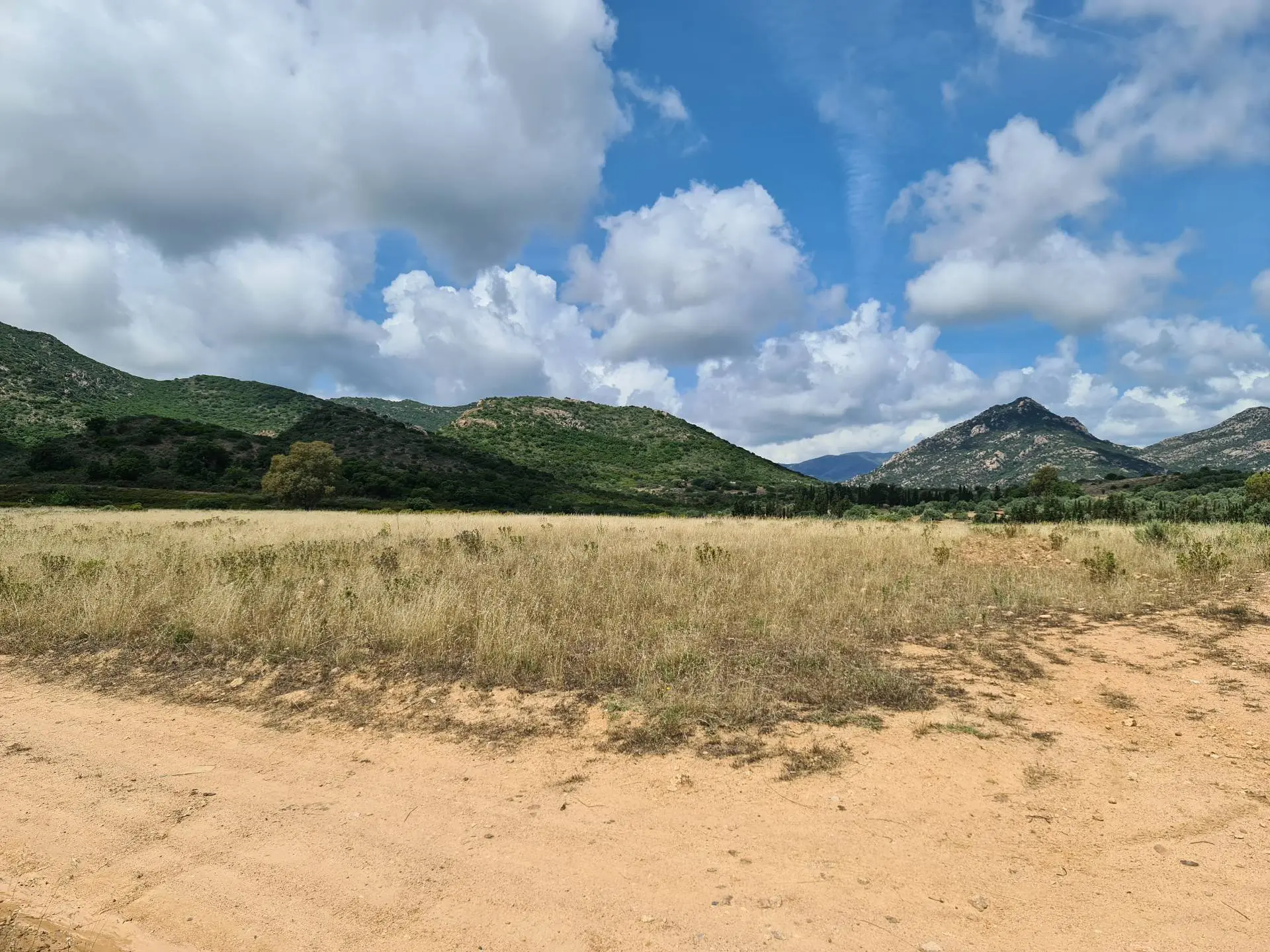 Immagine per Terreno Agricolo in vendita a San Vito