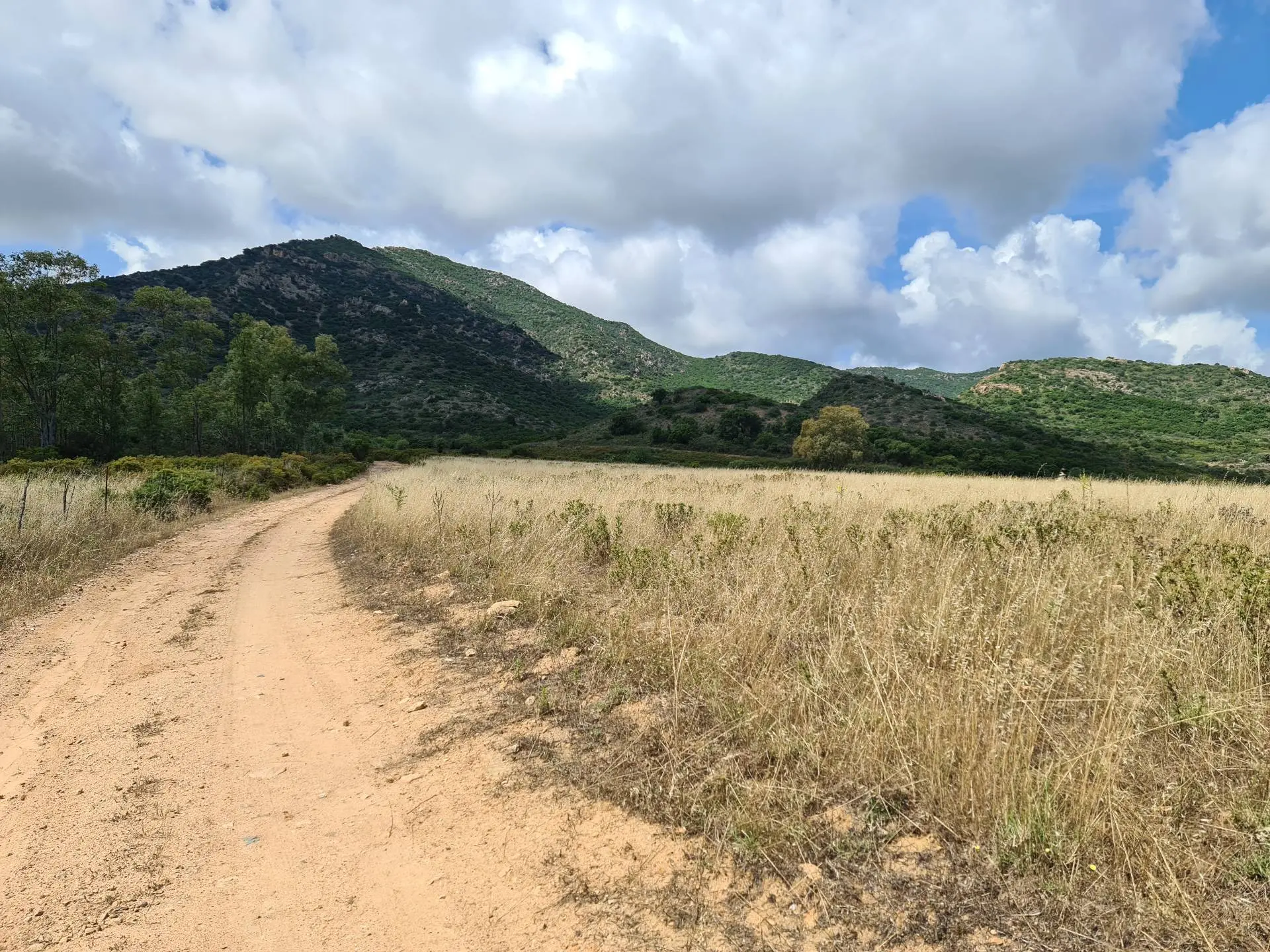 Immagine per Terreno Agricolo in vendita a San Vito