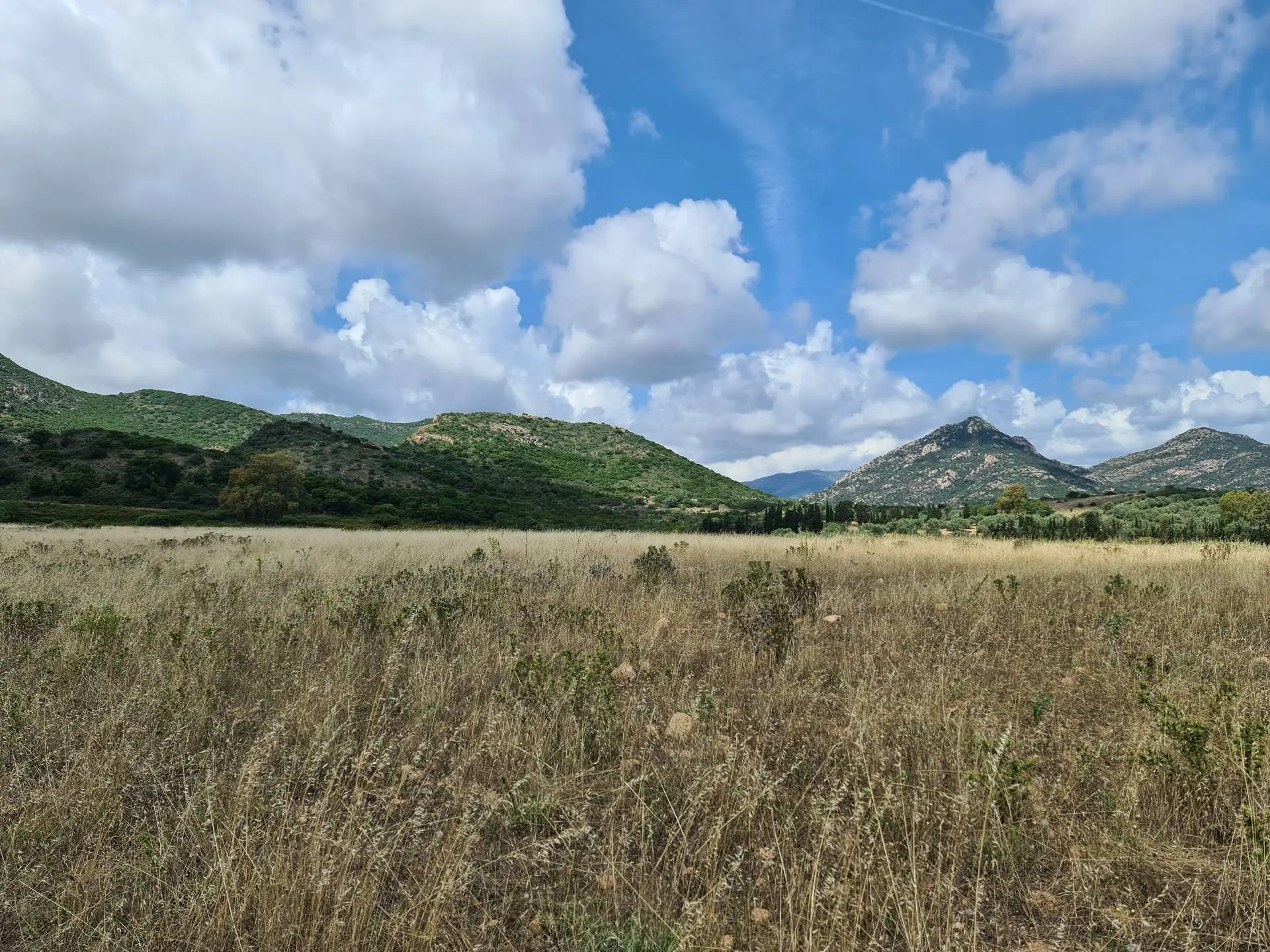 Immagine per Terreno Agricolo in vendita a San Vito