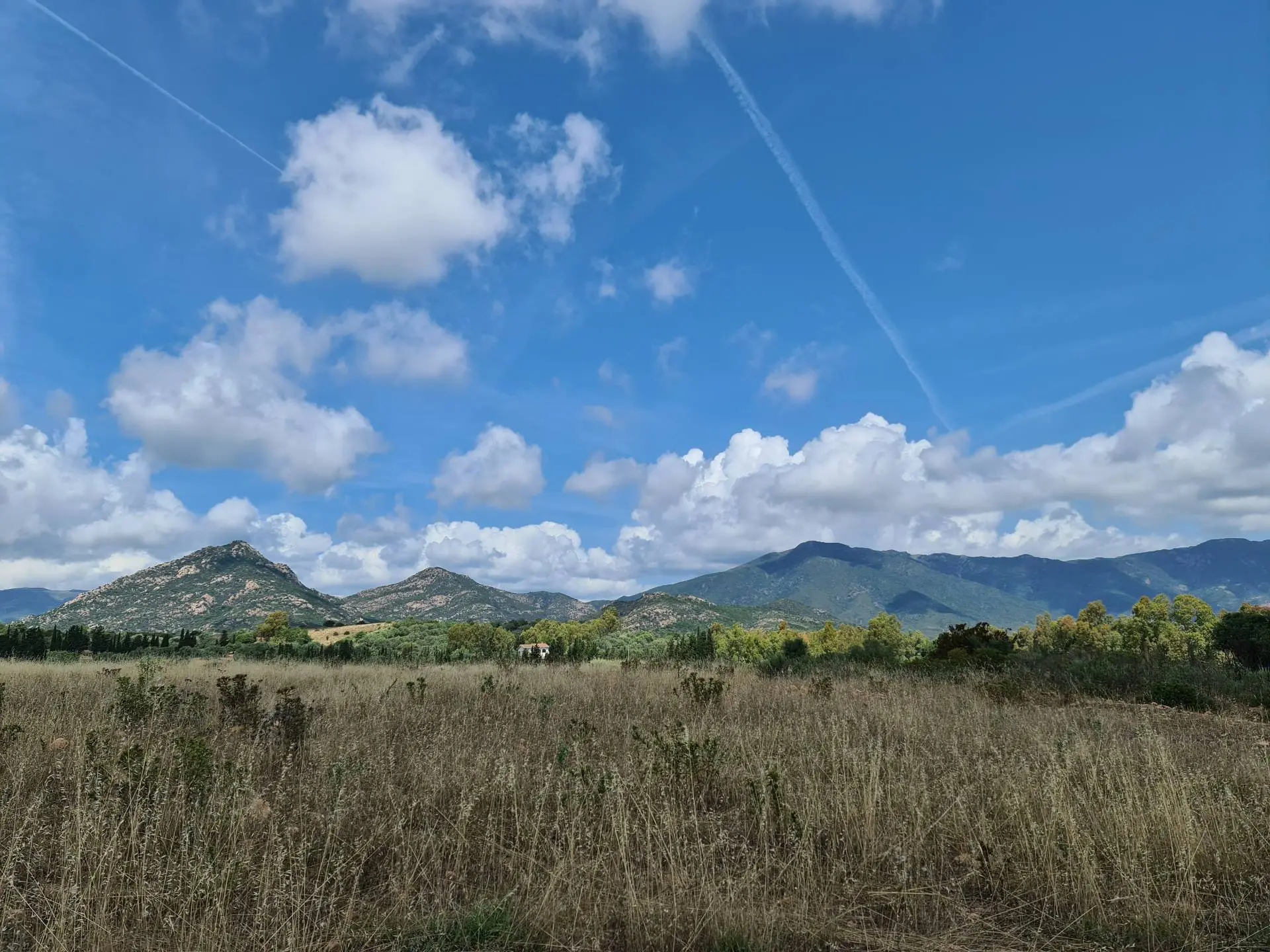 Immagine per Terreno Agricolo in vendita a San Vito