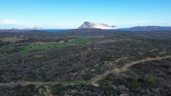 Terreno Agricolo Via Nazionale S.n.c., Padru