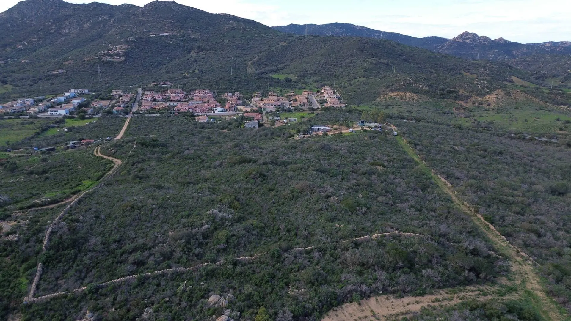 Immagine per Terreno Agricolo in vendita a Padru Via Nazionale s.n.c.