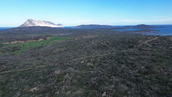Terreno Agricolo Via Nazionale S.n.c., Padru