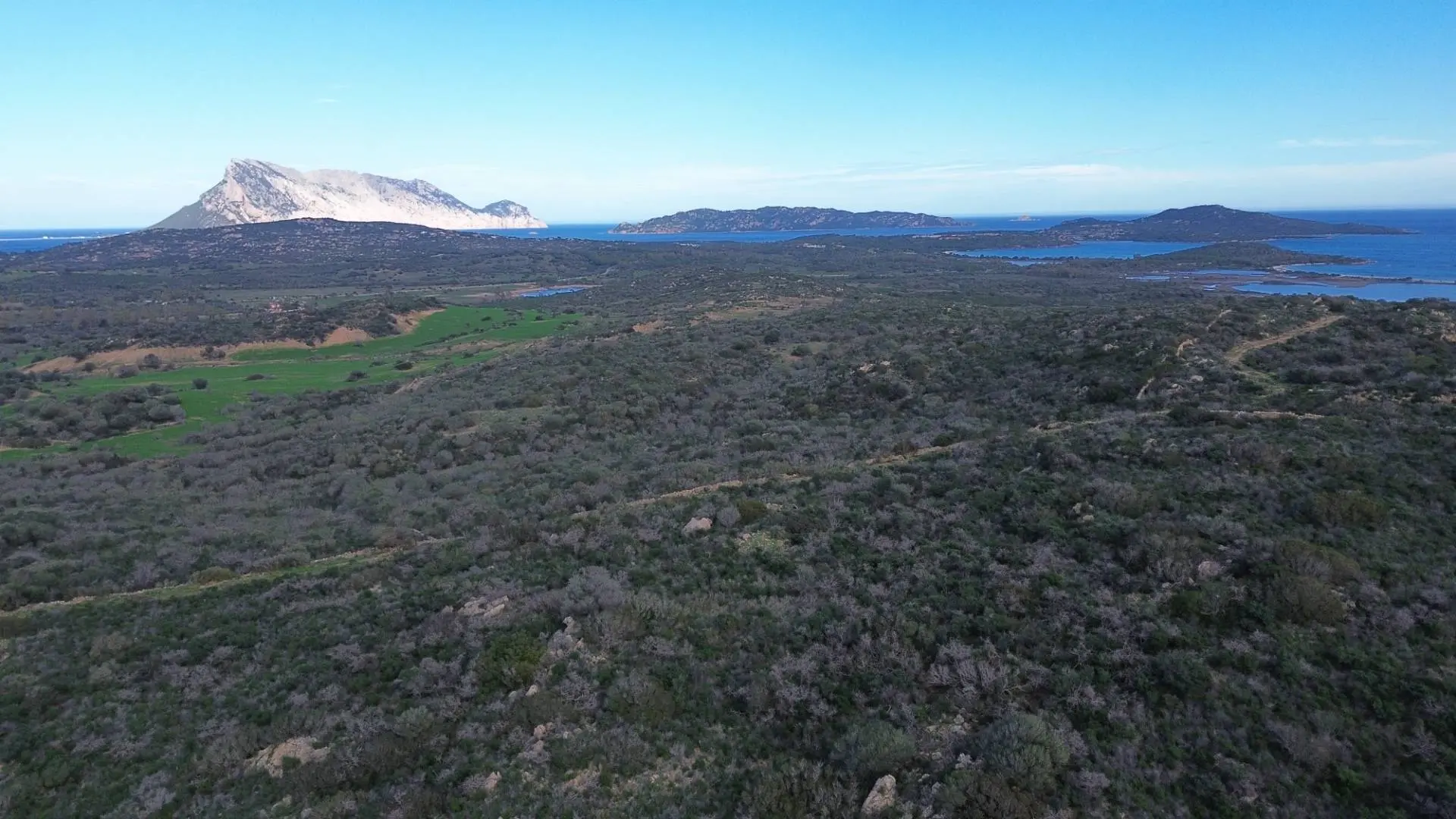 Immagine per Terreno Agricolo in vendita a Padru Via Nazionale s.n.c.
