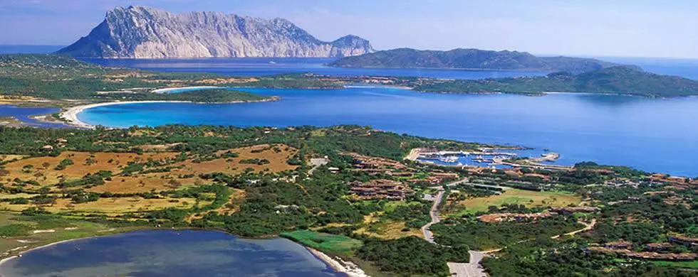 Immagine per Terreno Agricolo in vendita a Padru Via Nazionale s.n.c.