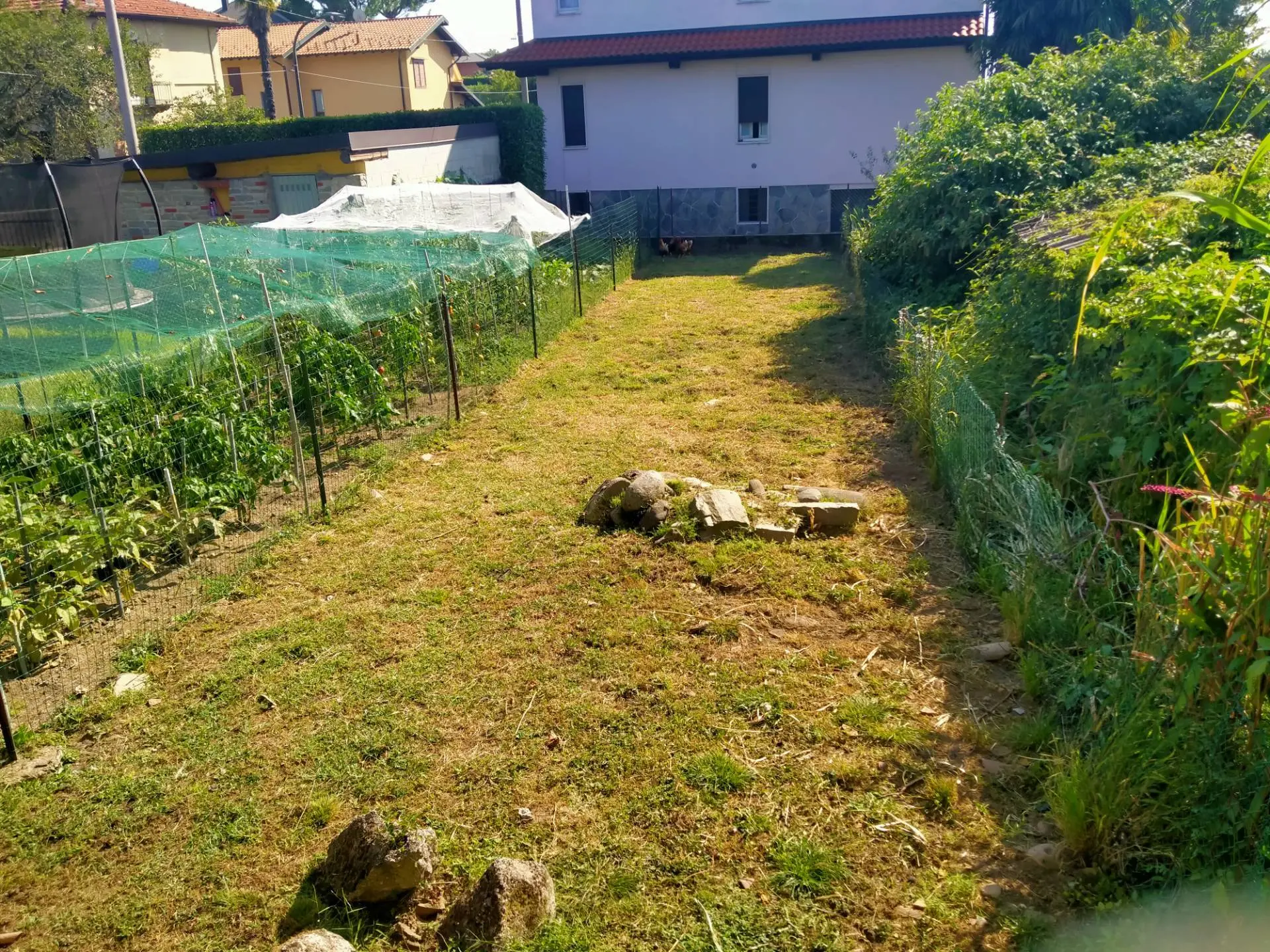 Immagine per Rustico/Casale in vendita a Venegono Superiore via trieste 