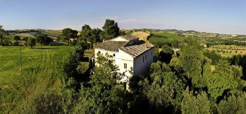 Immagine per Rustico in vendita a Ostra Vetere via Castel Leone Di Suasa