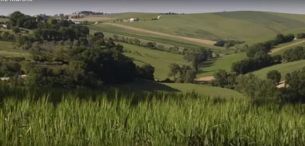 Rustico via Castel Leone Di Suasa, Ostra Vetere
