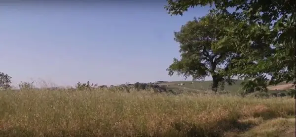 Rustico via Castel Leone Di Suasa, Ostra Vetere