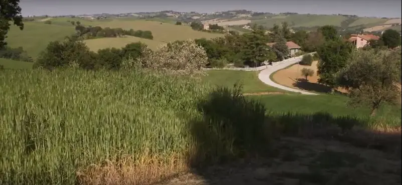 Immagine per Rustico in vendita a Ostra Vetere via Castel Leone Di Suasa