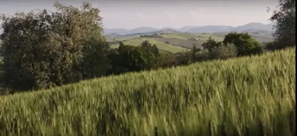 Rustico via Castel Leone Di Suasa, Ostra Vetere