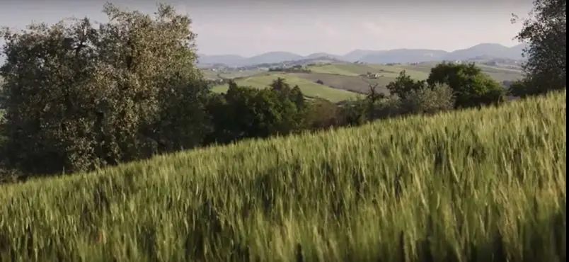 Immagine per Rustico in vendita a Ostra Vetere via Castel Leone Di Suasa