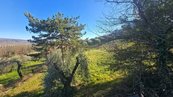 Casale strada Provinciale 45, Castel Viscardo