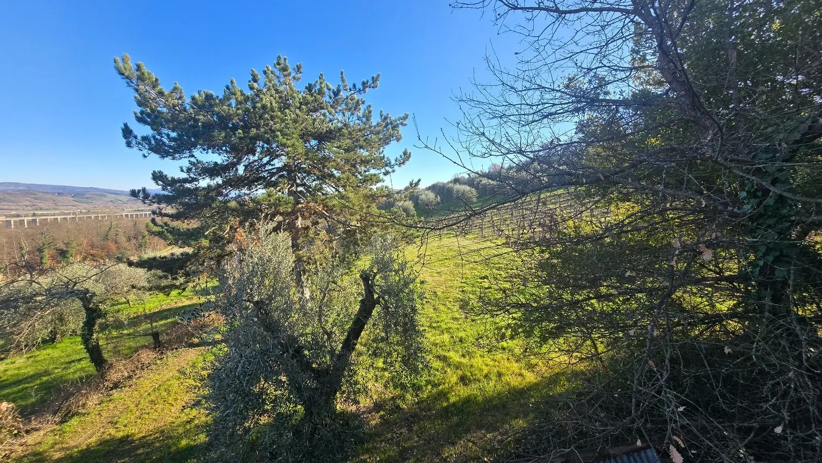 Immagine per Casale in vendita a Castel Viscardo strada Provinciale 45