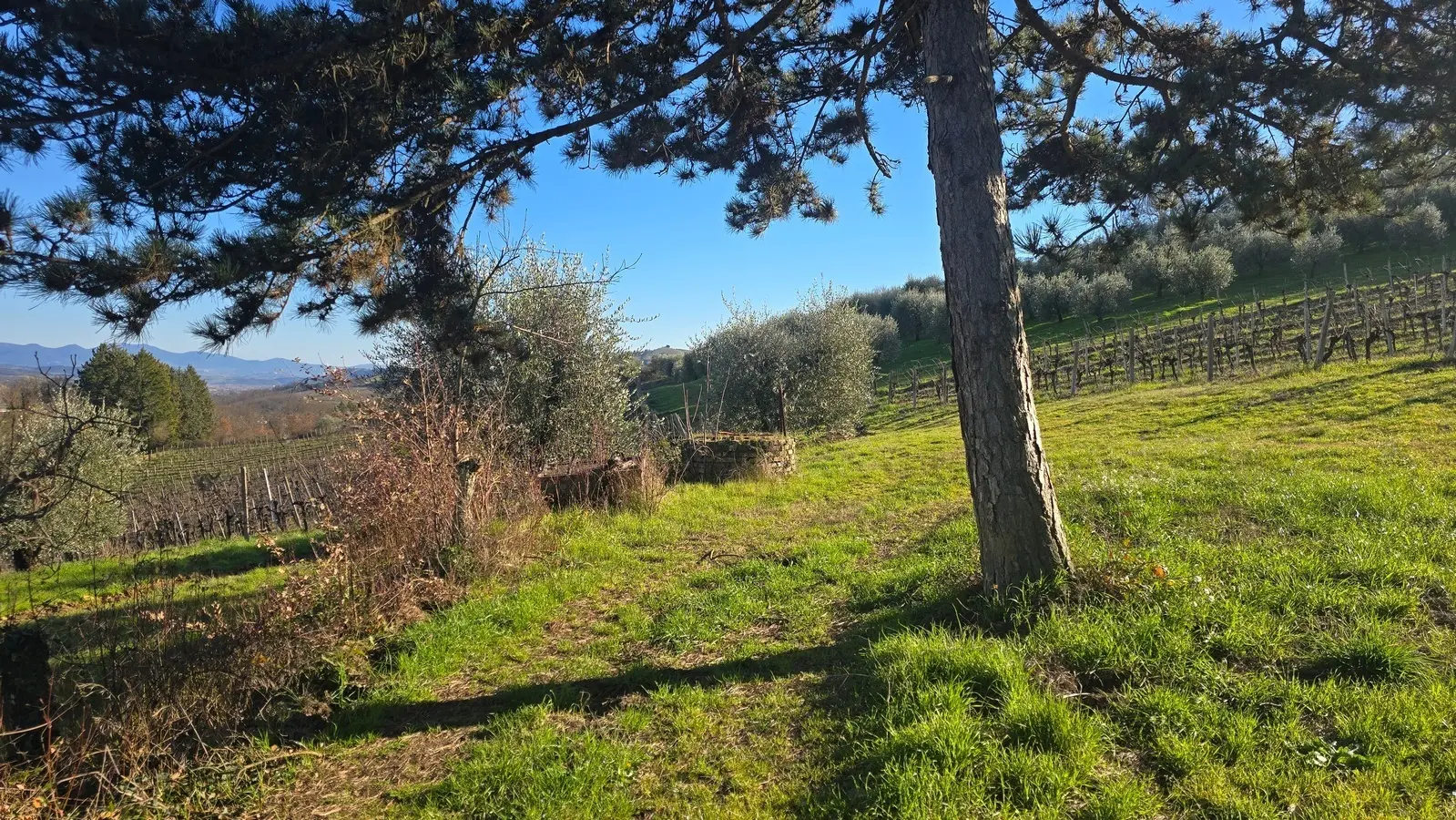 Immagine per Casale in vendita a Castel Viscardo strada Provinciale 45