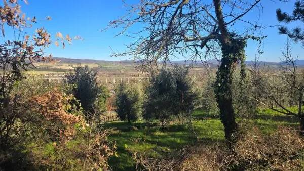 Casale strada Provinciale 45, Castel Viscardo