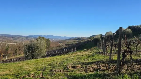 Casale strada Provinciale 45, Castel Viscardo