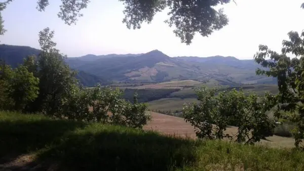 Monolocale via Della Guarda 10, Loiano
