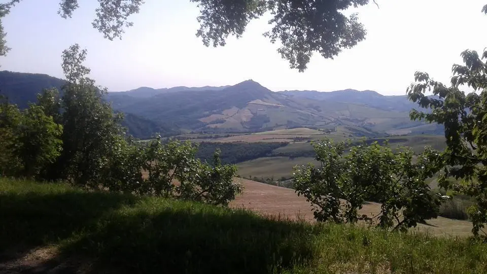 Immagine per Monolocale in affitto a riscatto a Loiano via Della Guarda 10