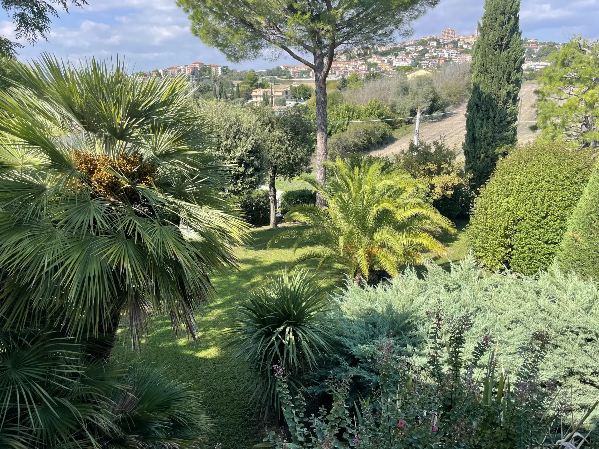 Immagine per Villa in vendita a Osimo via Cagiata
