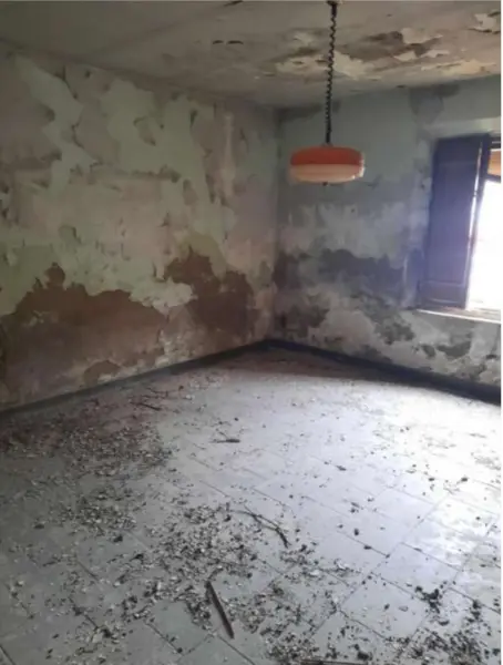 Porzione Di Casa via Isonzo, Forlì