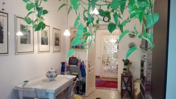 Appartamento via Landinelli, Sarzana
