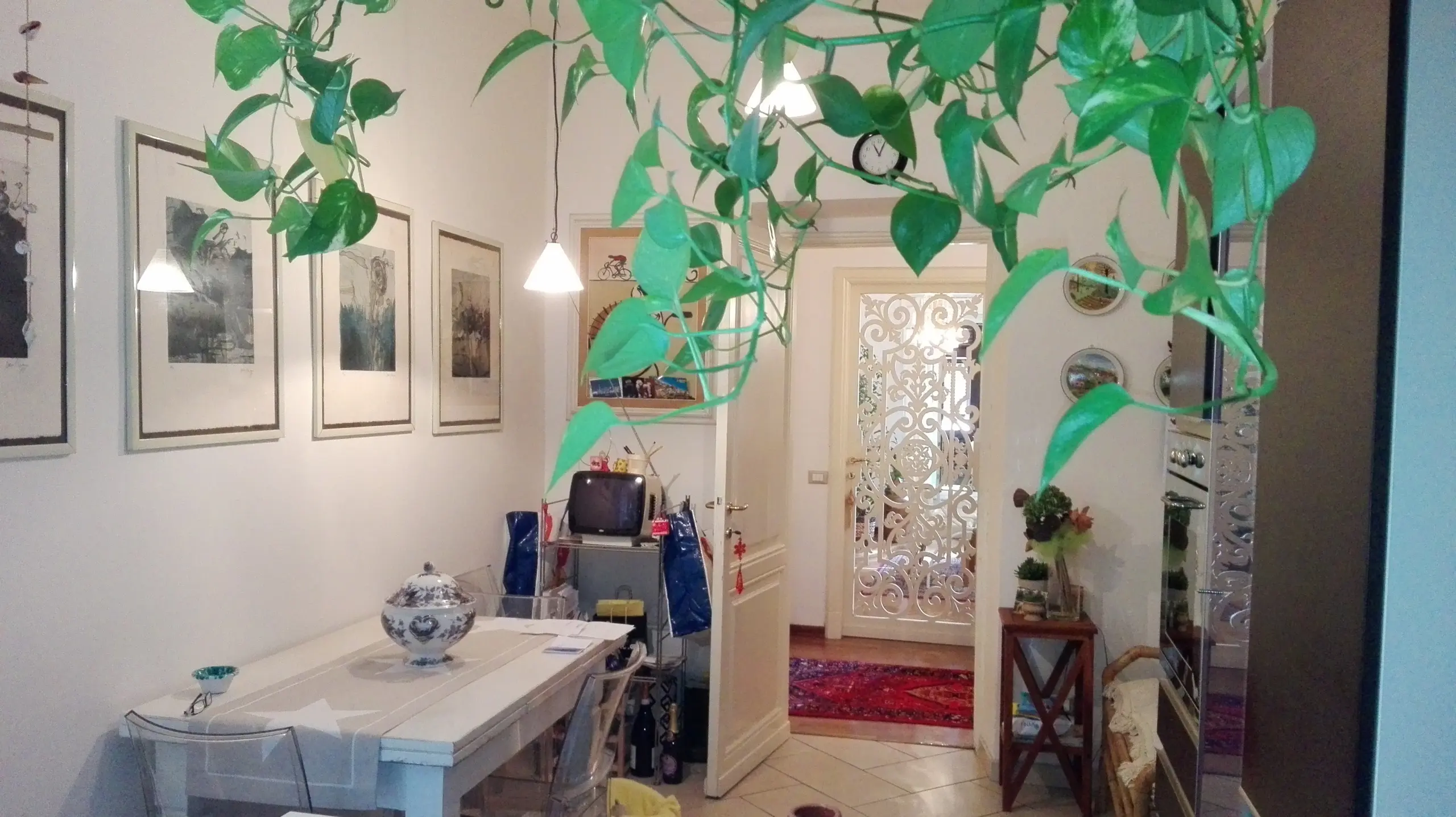 Immagine per Appartamento in vendita a Sarzana via Landinelli