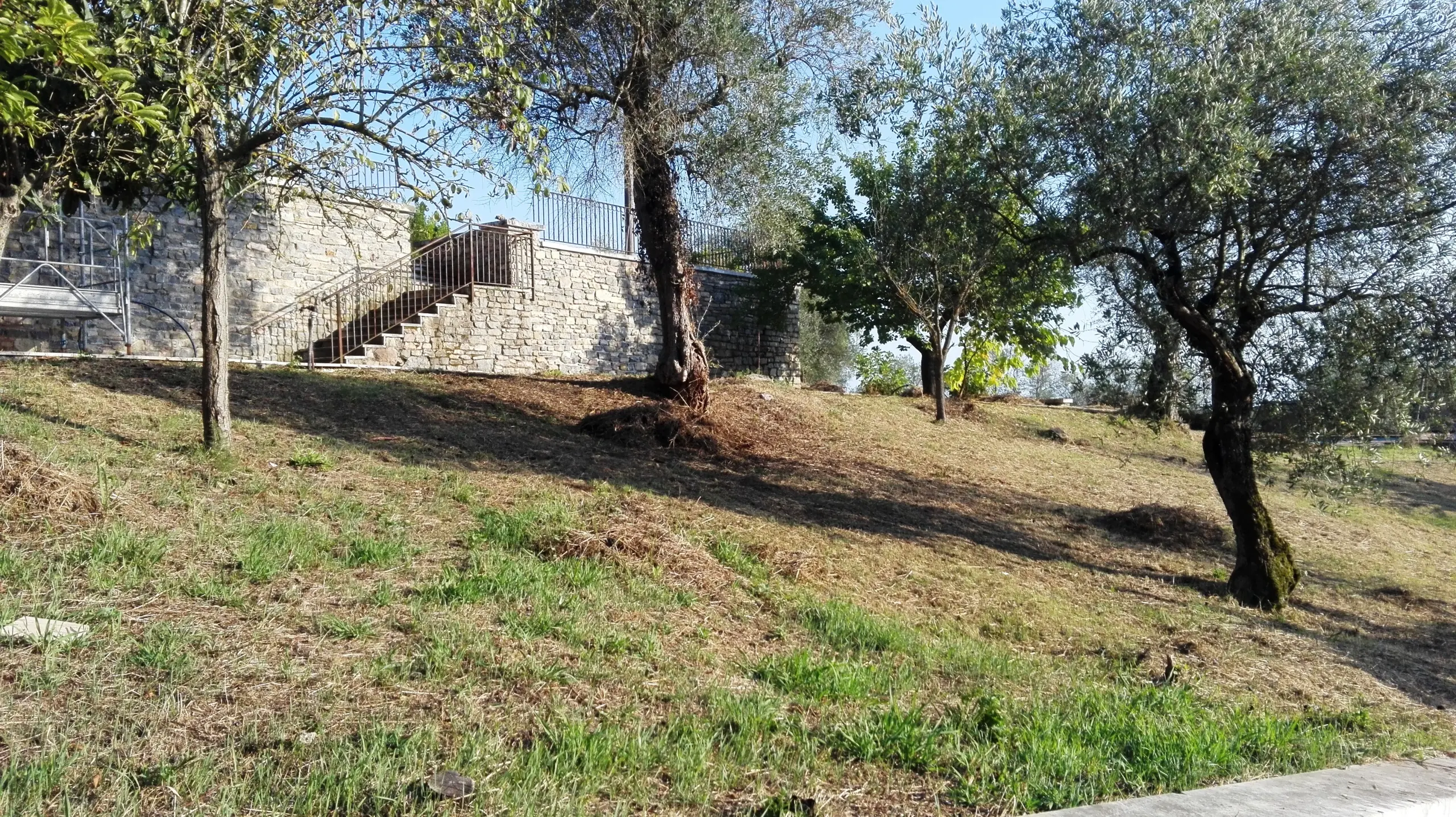 Immagine per Villa in vendita a Fosdinovo via Giovanni Xxiv
