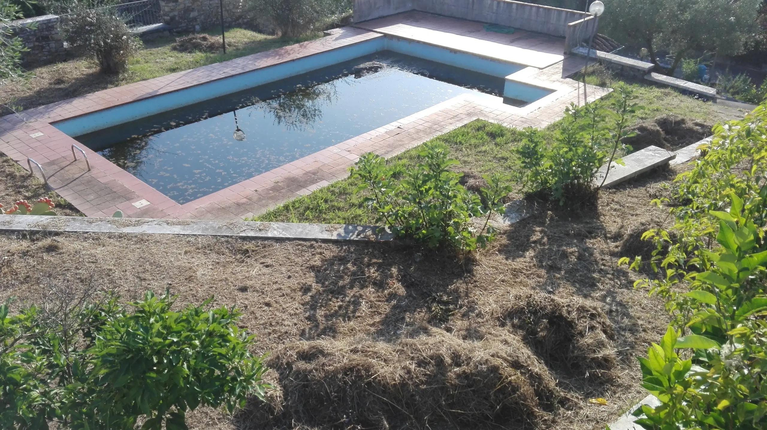 Immagine per Villa in vendita a Fosdinovo via Giovanni Xxiv