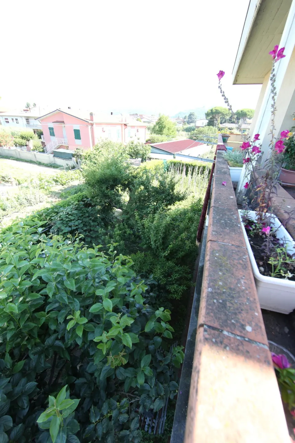 Immagine per Villa in vendita a Luni via Sottoferrovia