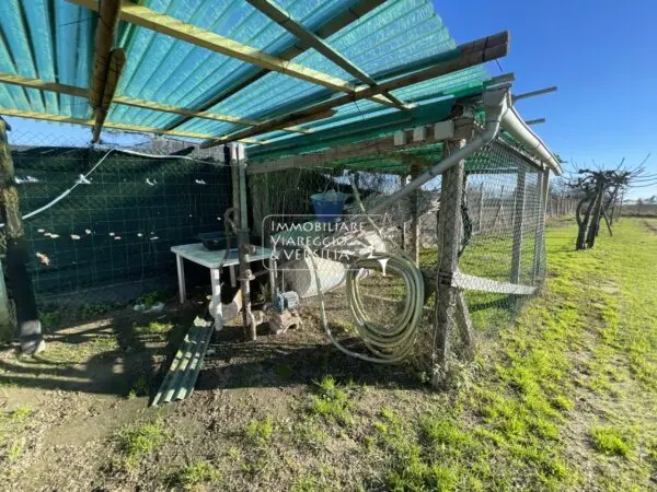 Terreno Agricolo via, Viareggio